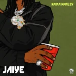 Naira Marley - Jaiye || LatestSongs
