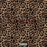 Tim Duzit - Kat Slater (Native Remedies Remix) || LatestSongs