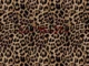 Tim Duzit – Kat Slater (Native Remedies Remix) Ft. Oluwafemi Akintimehin